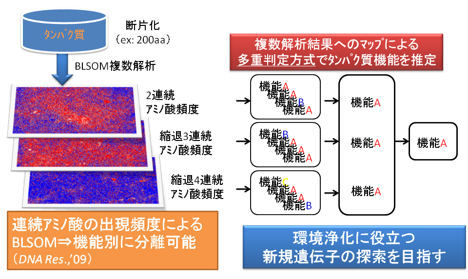 アミノ酸配列解析 - Bioinformatics Laboratory