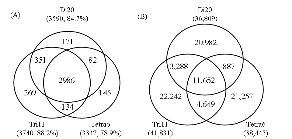 Fig4